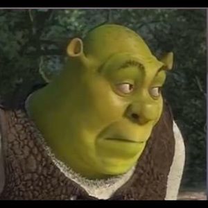 Meet your Posher, Riley